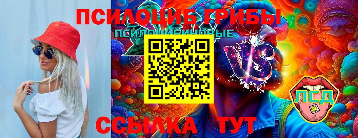 купить наркотик  Псилоцибиновые грибы мухоморы  Вход с VPN  Керчь 