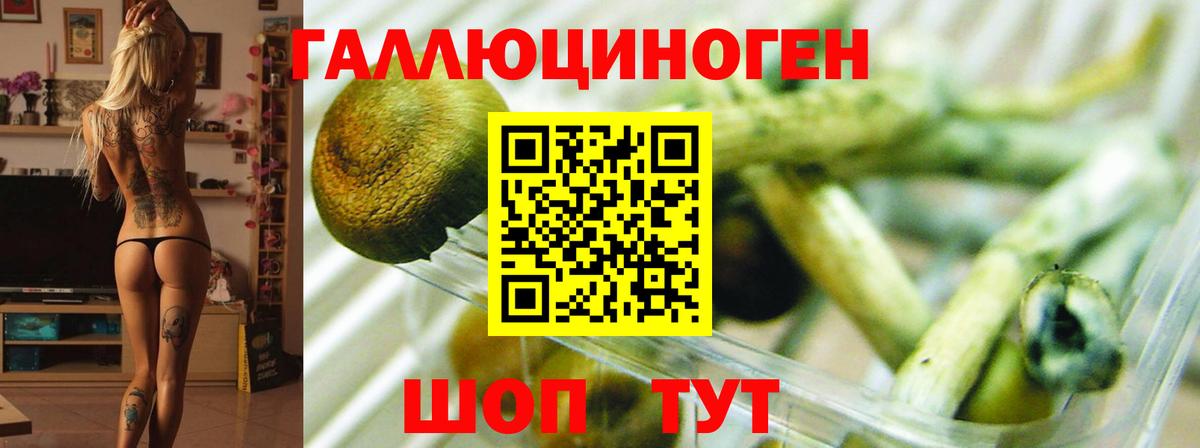 Псилоцибиновые грибы ЛСД Керчь